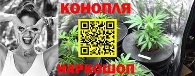 амф Вязьма