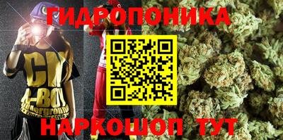 амф Вязьма