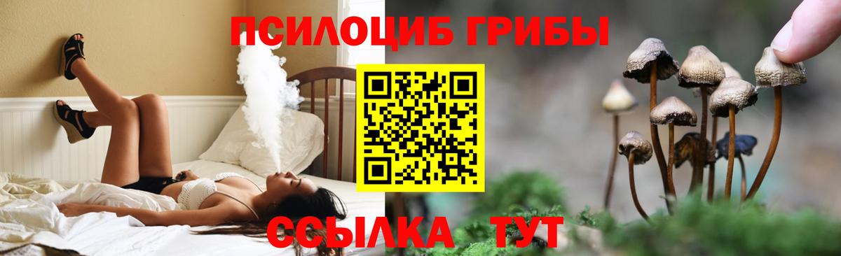 Псилоцибиновые грибы Magic Shrooms Большой Камень